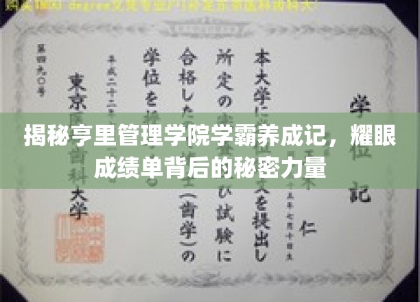 解锁学霸奥秘，亨里管理学院卓越成绩单的幕后力量揭秘