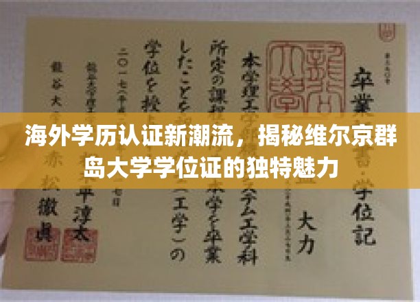 维京群岛大学学位证引领全球学历认证新风尚