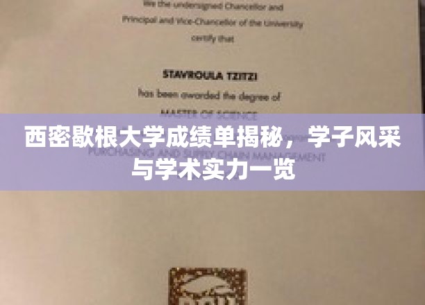 解码西密歇根学子，成绩单背后的学术风采与实力全景