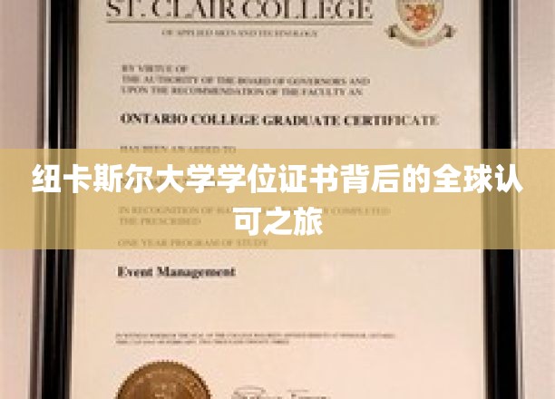 纽卡斯尔大学学位证书背后的全球认可之旅