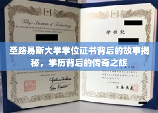 圣路易斯大学学位证书背后的故事揭秘，学历背后的传奇之旅
