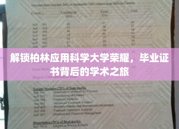 探寻柏林应用科学大学卓越之光，揭秘毕业证书背后的学术征途