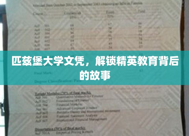 匹兹堡大学文凭，揭秘精英教育背后的故事