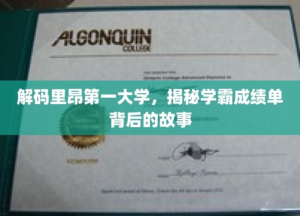 探寻里昂第一大学学霸背后的卓越之路
