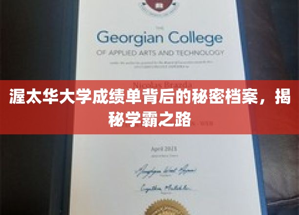 揭开渥太华大学学霸档案，探索成绩单背后的卓越之路