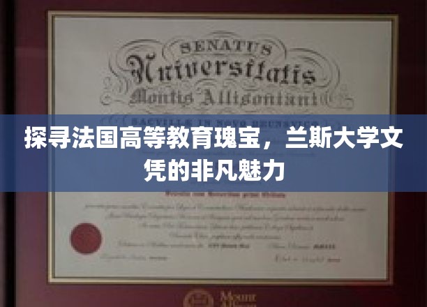 探寻法国高等教育明珠，兰斯大学文凭的独特魅力
