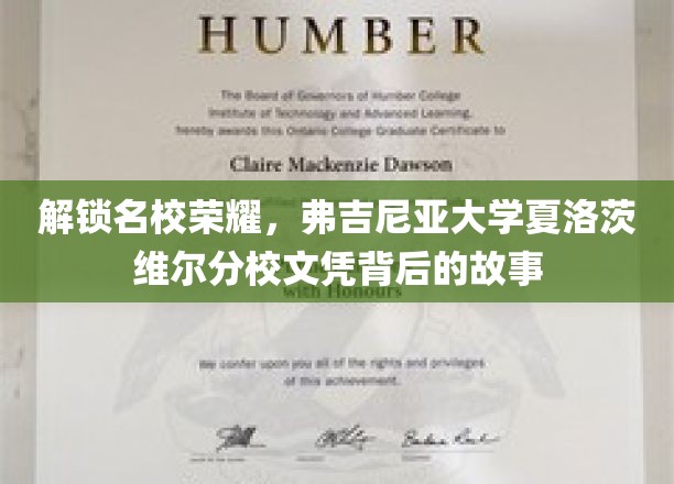 解锁名校荣耀，弗吉尼亚大学夏洛茨维尔分校文凭背后的故事