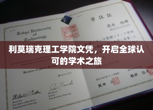 全球通行证，利莫瑞克理工学院文凭引领国际学术新篇章