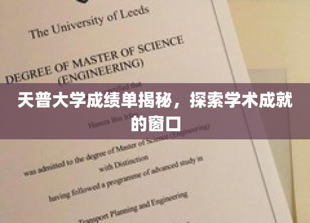 天普大学成绩单揭秘，探索学术成就的窗口