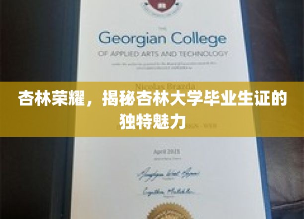 杏林荣耀，揭秘杏林大学毕业生证的独特魅力