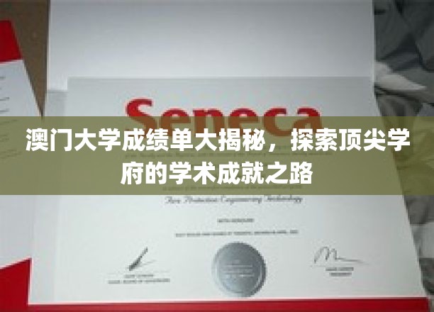 解码澳门大学卓越成绩单，解码学术殿堂的秘密之路