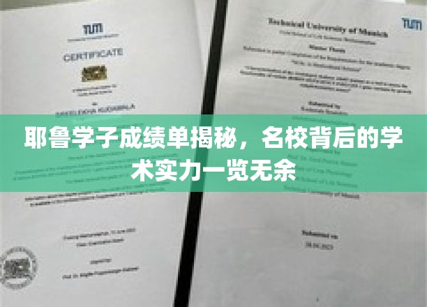 耶鲁学子成绩单揭秘，名校背后的学术实力一览无余