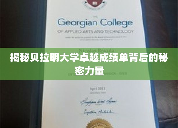 解码贝拉明大学卓越成就背后的神秘动力