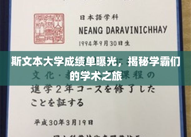 斯文精英档案揭秘，学霸们的学术征程全记录