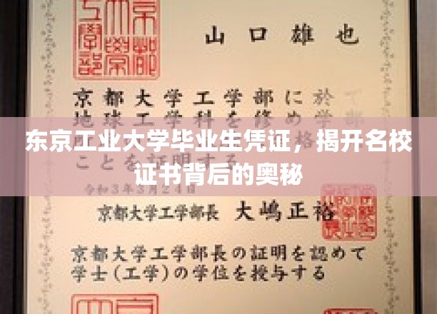 东京工业大学毕业生凭证，揭开名校证书背后的奥秘