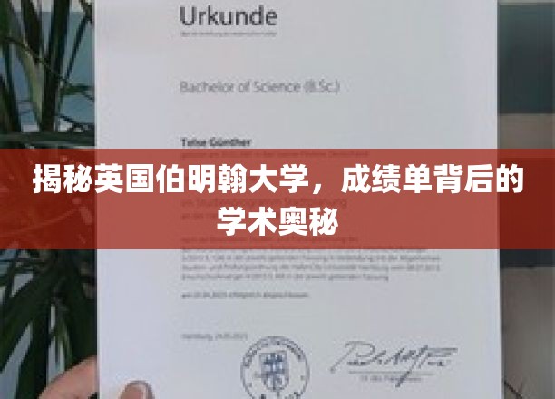 探寻伯明翰大学成绩单背后的独特学术风景