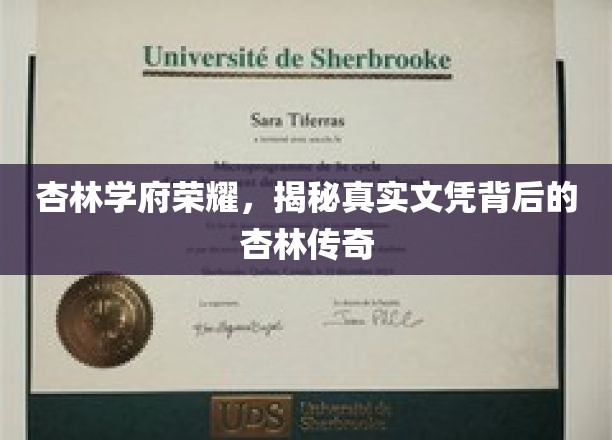 杏林学府荣耀，揭秘真实文凭背后的杏林传奇
