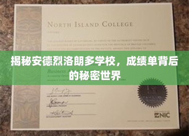 探寻安德烈洛朗多学校的成绩单奥秘，揭开精英教育的神秘面纱