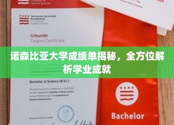 解码诺森比亚大学成绩单，揭秘学业成就的秘密武器