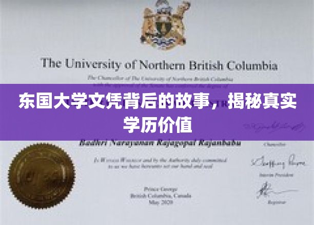 东国大学文凭之谜，探寻学历背后的真实价值与传奇故事