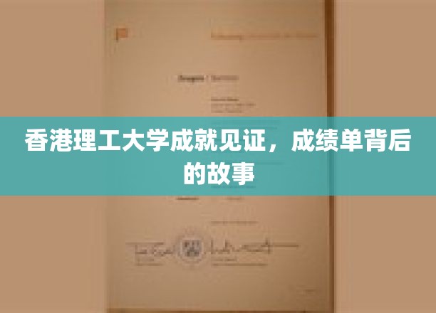 香港理工荣光录，揭秘优秀背后的奋斗篇章