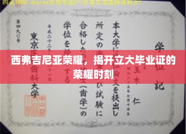 西弗吉尼亚荣耀，揭开立大毕业证的荣耀时刻
