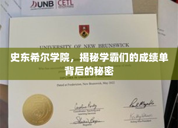 史东希尔学霸圈，揭秘成绩单背后的非凡奥秘