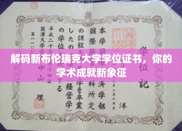 解锁知识殿堂，新布伦瑞克大学学位证书，成就你的学术荣耀凭证