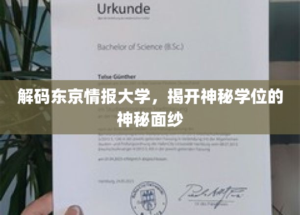 解码东京情报大学，揭开神秘学位的神秘面纱