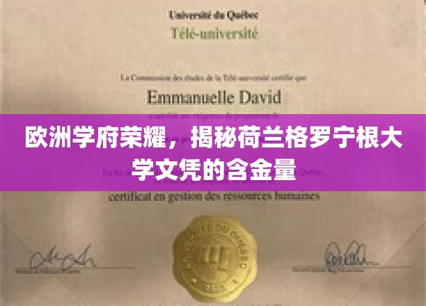 欧洲学府荣耀，揭秘荷兰格罗宁根大学文凭的含金量