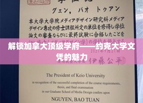 探索约克大学，揭开世界级学位背后的无限可能