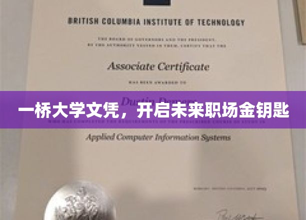 一桥大学文凭，解锁职场新境界，成就未来辉煌人生