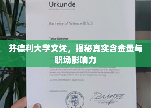 揭秘芬德利大学文凭，职场精英背后的含金量与影响力真相