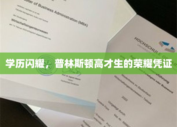 学历之光，普林斯顿高才生的荣耀象征