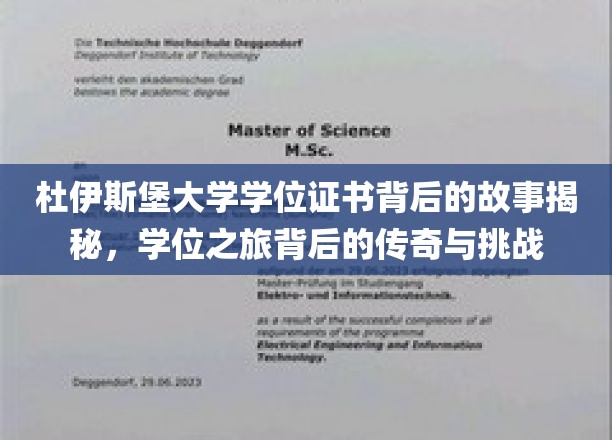 杜伊斯堡大学学位证书背后的故事揭秘，学位之旅背后的传奇与挑战