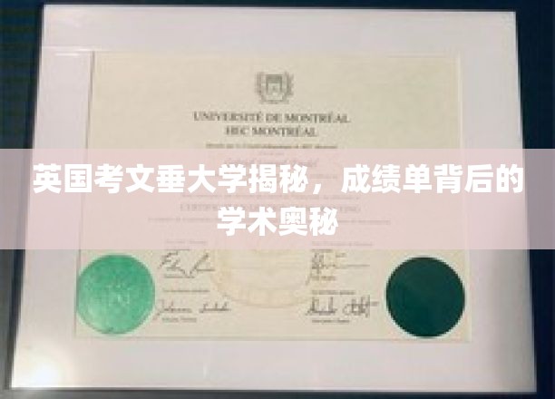 揭开考文垂大学成绩单的学术神秘面纱