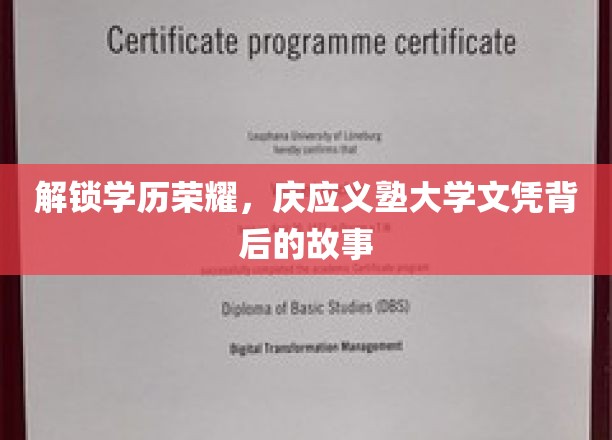 庆应义塾大学文凭，揭秘其背后的荣耀与传奇之路