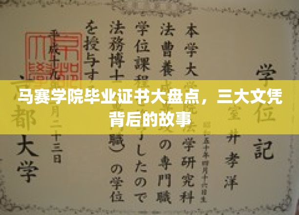 马赛学院毕业证书大盘点，三大文凭背后的故事
