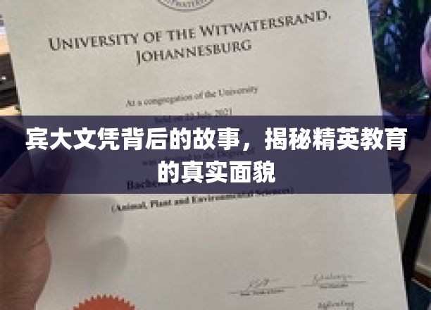 精英之路，宾大文凭背后的不为人知的教育传奇