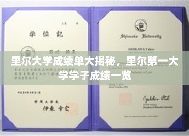 深度解析里尔大学成绩单，揭示一流学府学子成绩风采