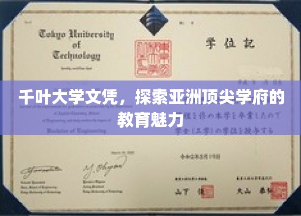 解码千叶大学，亚洲教育高地的人才摇篮