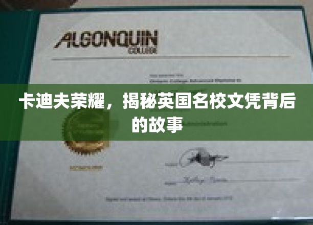 卡迪夫荣耀，揭秘英国名校文凭背后的故事