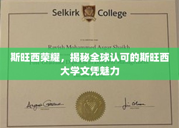 探索斯旺西荣耀，全球视野下的斯旺西大学文凭魅力揭秘