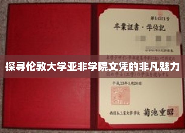 解码伦敦亚非学院文凭的国际影响力