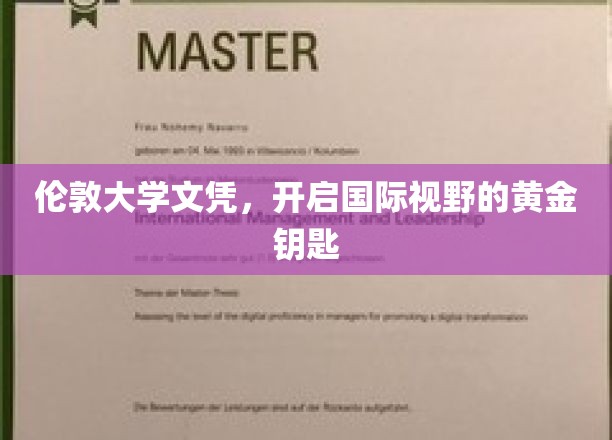 解锁全球机遇，伦敦大学文凭，开启无限视野之旅