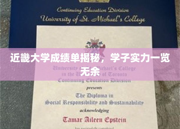 近畿大学成绩单揭秘，学子实力一览无余