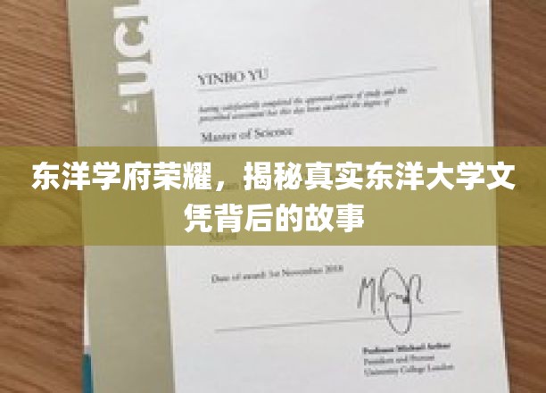 东洋学府荣耀，揭秘真实东洋大学文凭背后的故事