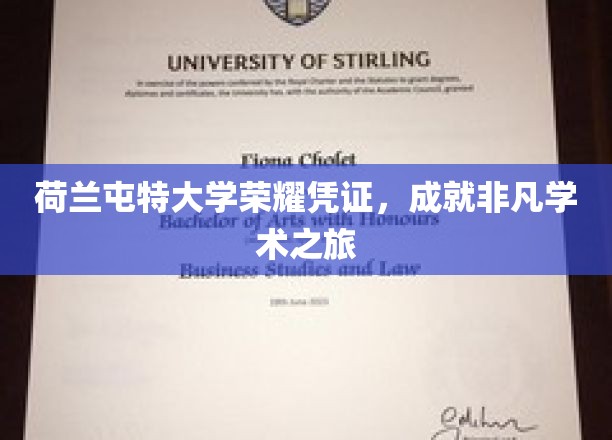 荷兰屯特大学荣耀证书，见证非凡学术之旅