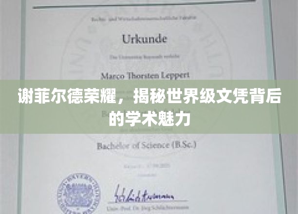 探寻谢菲尔德荣耀，世界级文凭背后的独特学术风采