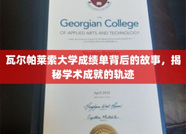 瓦尔帕莱索大学成绩单背后的传奇，探寻学术辉煌的秘密轨迹